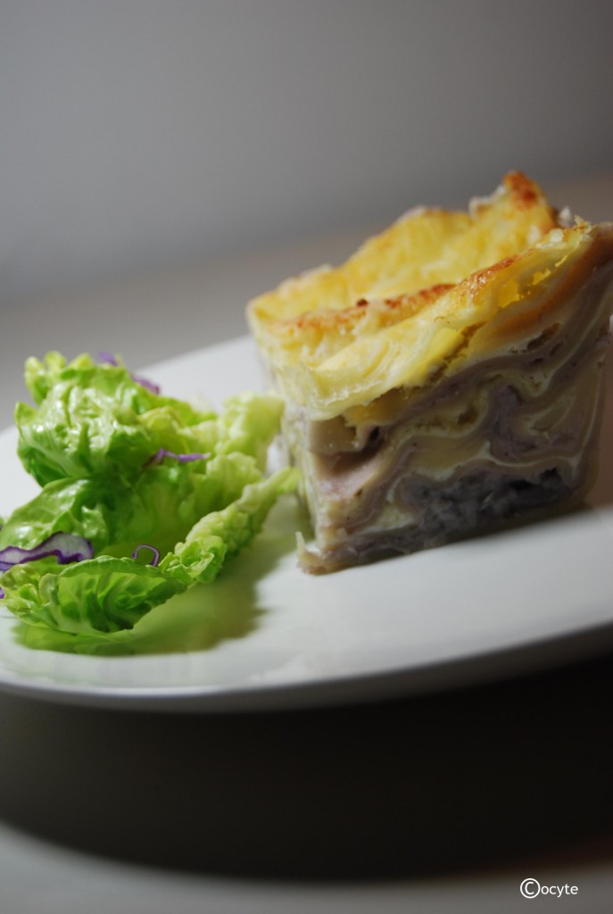 Lasagne Chou Rouge