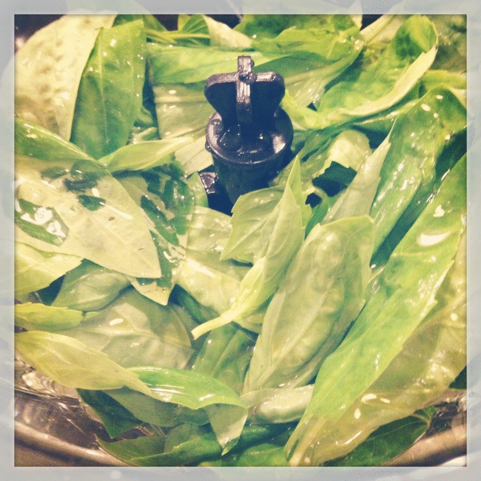pasta-pesto-gif