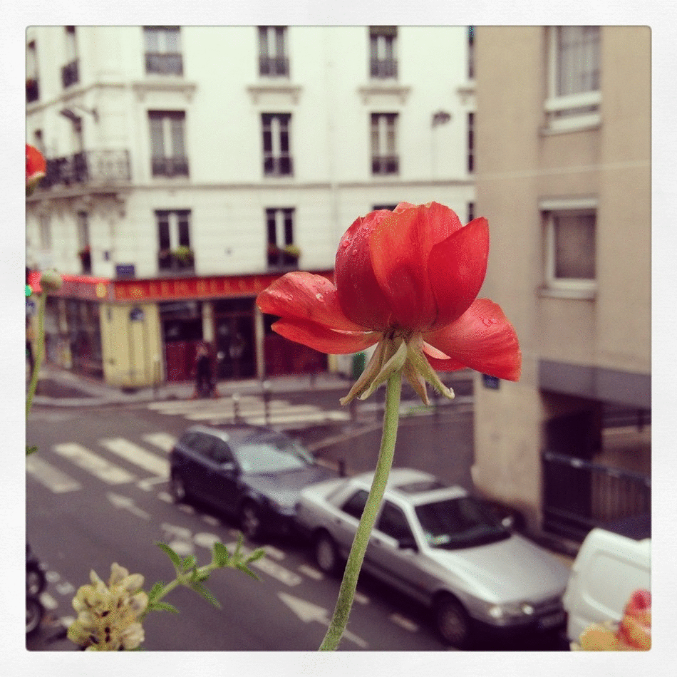 fleur
