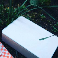 irodori bento sandwiches gif