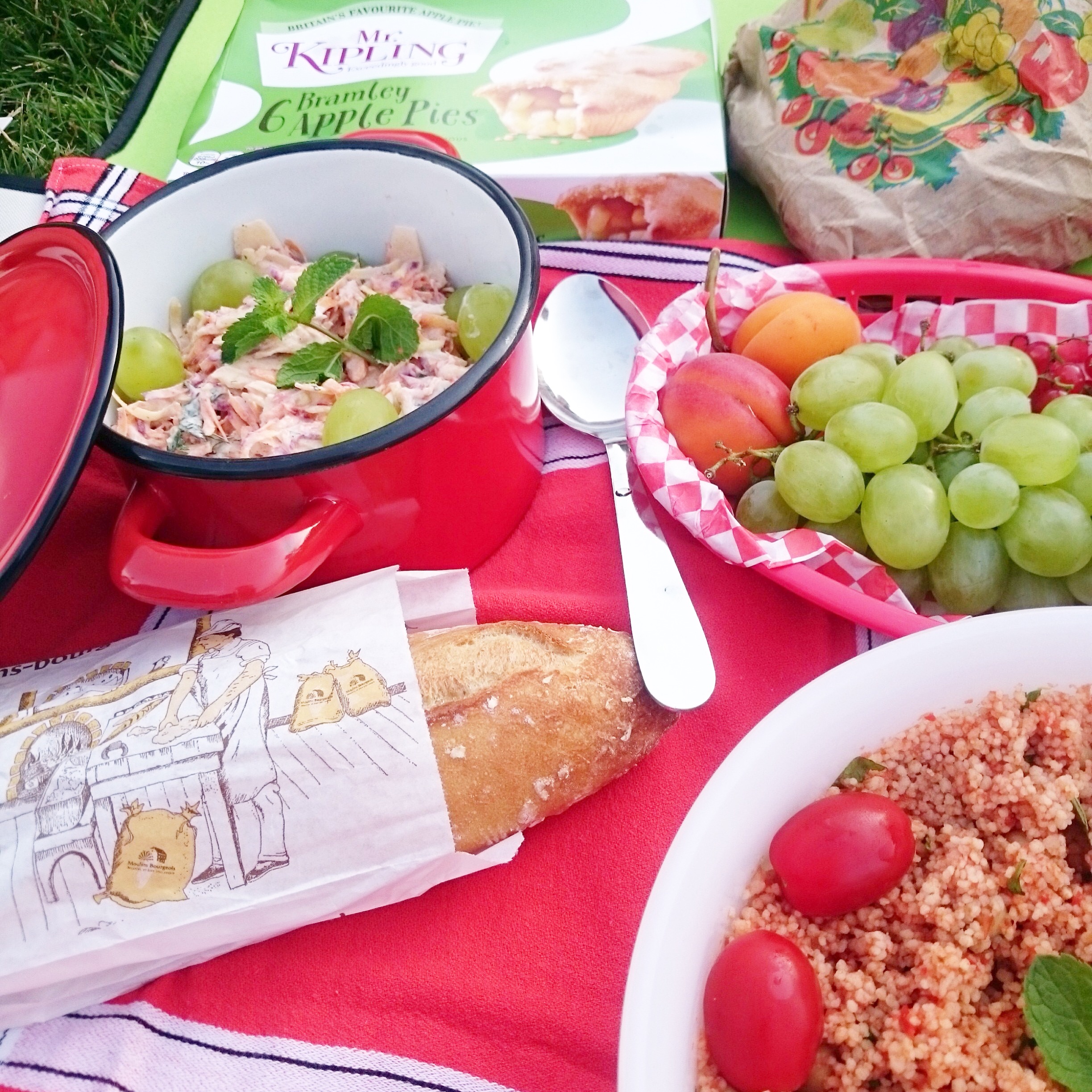 Pique nique Party | Mon Bento Végétarien Pique nique Party | Mon Bento Végétarien