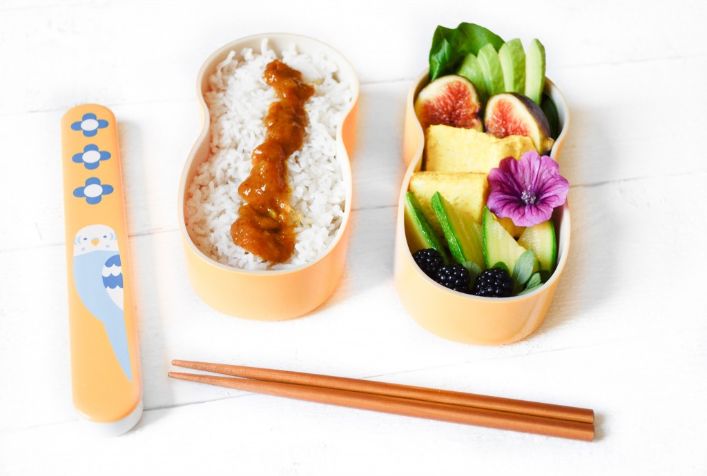 KOTORITACHI BENTO végétarien perruche paneer au curry figues mûres chutney mauve avocat courgette du jardin