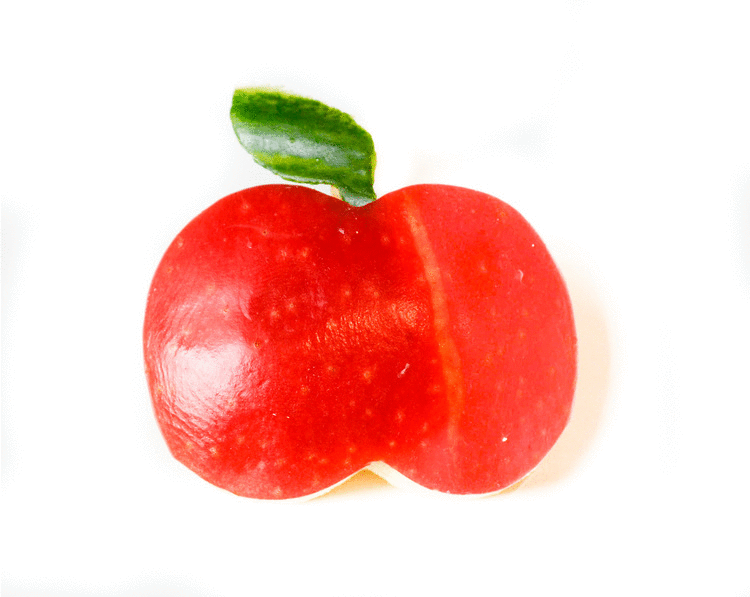 pomme apple food art gif